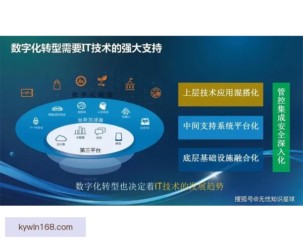 开云入口引领数字化转型与创新发展新格局探索