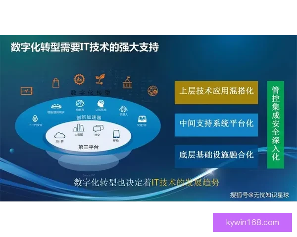 开云入口引领数字化转型与创新发展新格局探索